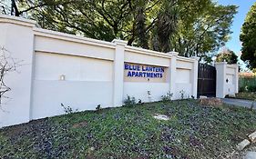 Blue Lantern Bed And Breakfast